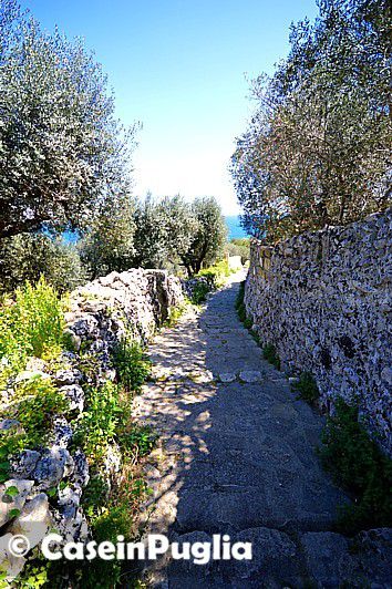 Il Sentiero Palombara a Castro